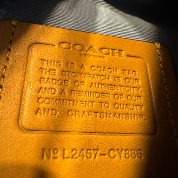 Warren Mini Belt Bag 2024 - Picture 7 of 10